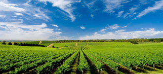 溫室設(shè)計(jì)